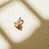 Three Claw Mini Diamond Pendant Charm in Yellow Gold
